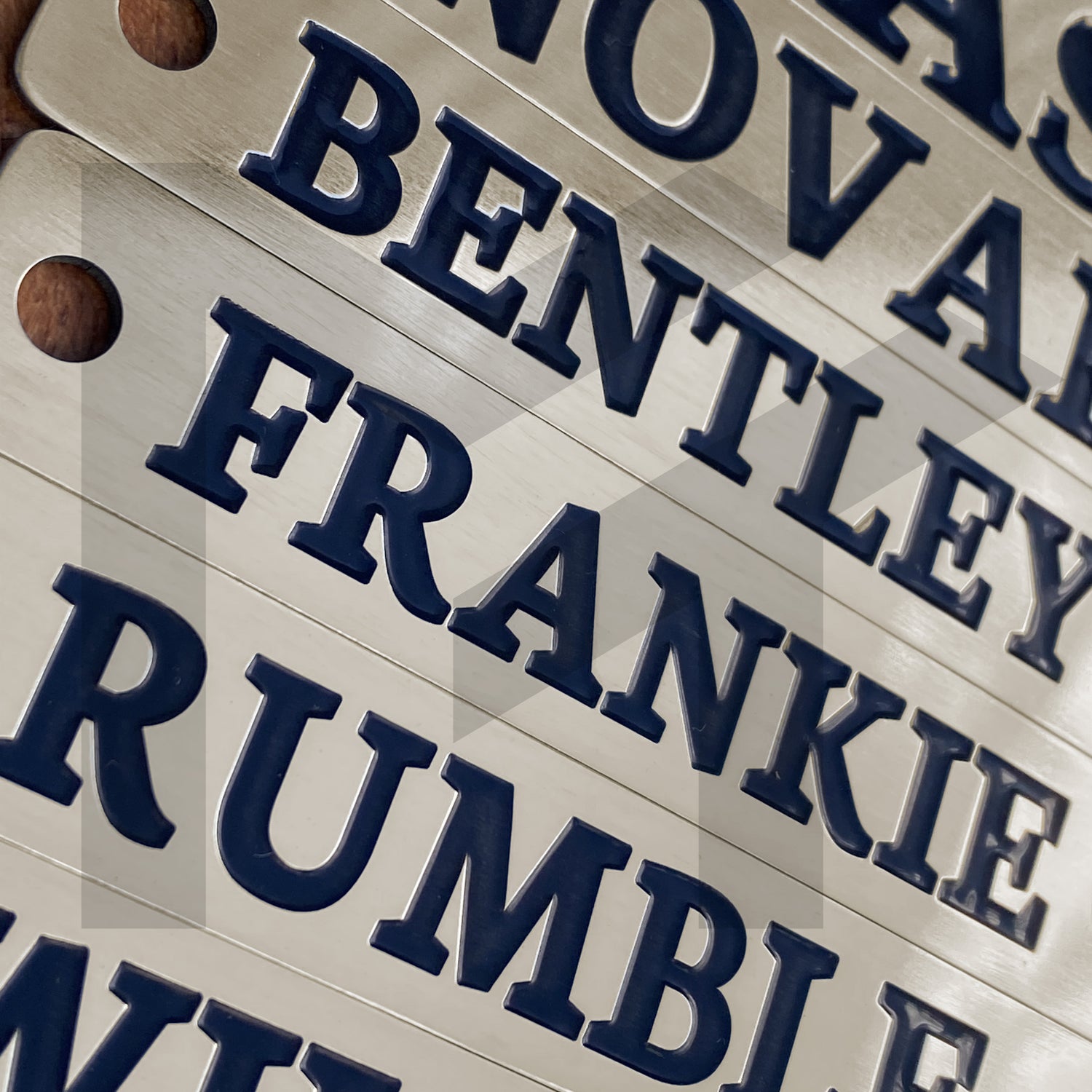 Engraved Halter Nameplates – Customizable